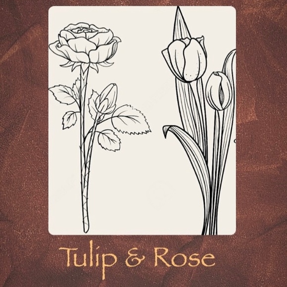 _tulipandrose_